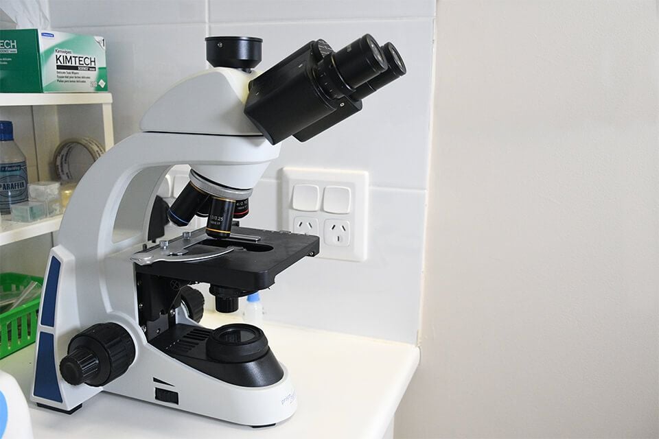 CLINICAL PATHOLOGY CLINICAL PATHOLOGY