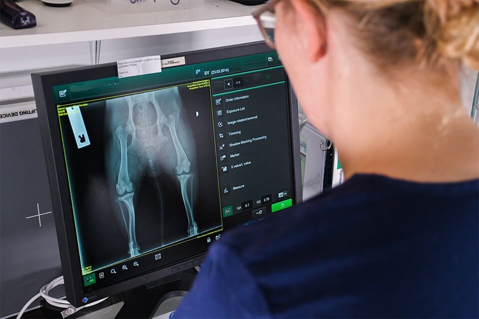 RADIOGRAPHY RADIOGRAPHY