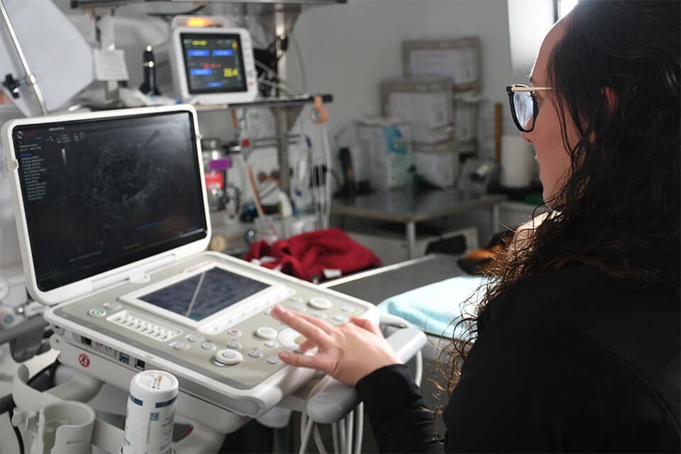 ULTRASONOGRAPHY ULTRASONOGRAPHY
