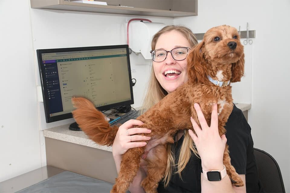 PUPPY PRESCHOOL PUPPY PRESCHOOL