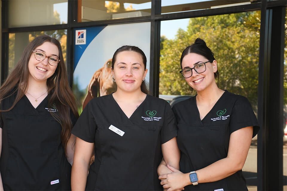 NARANGBA VET NARANGBA VET