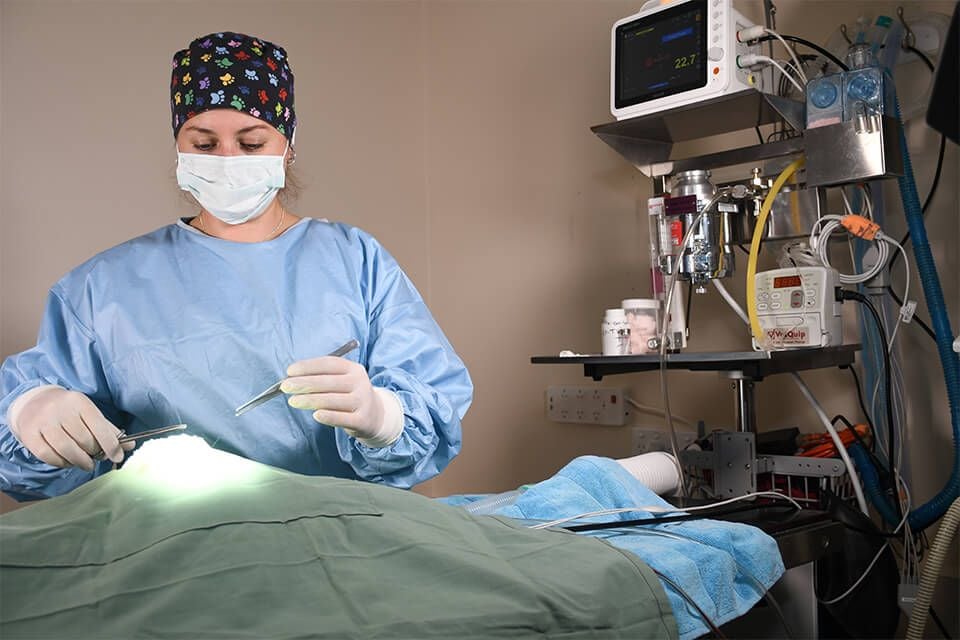 SOFT TISSUE SURGERY SOFT TISSUE SURGERY