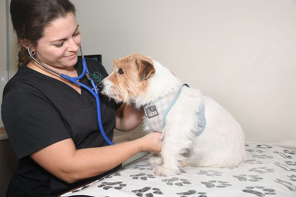 PAIN MANAGEMENT PAIN MANAGEMENT