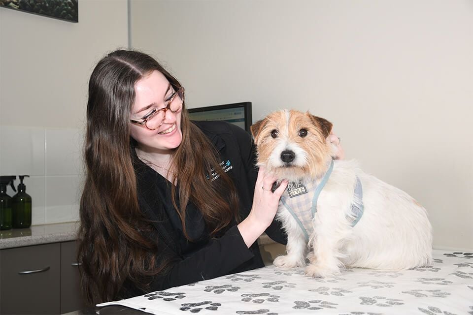 NAIL CLIPPING NAIL CLIPPING