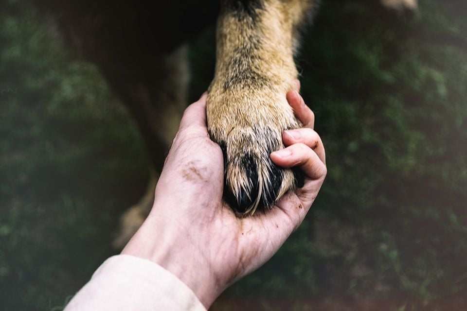 END OF LIFE AND PALLIATIVE CARE END OF LIFE AND PALLIATIVE CARE