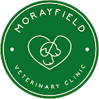 Morayfield Vet Surgery