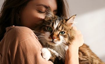 Helping Your Shelter Cat Helping Your Shelter Cat