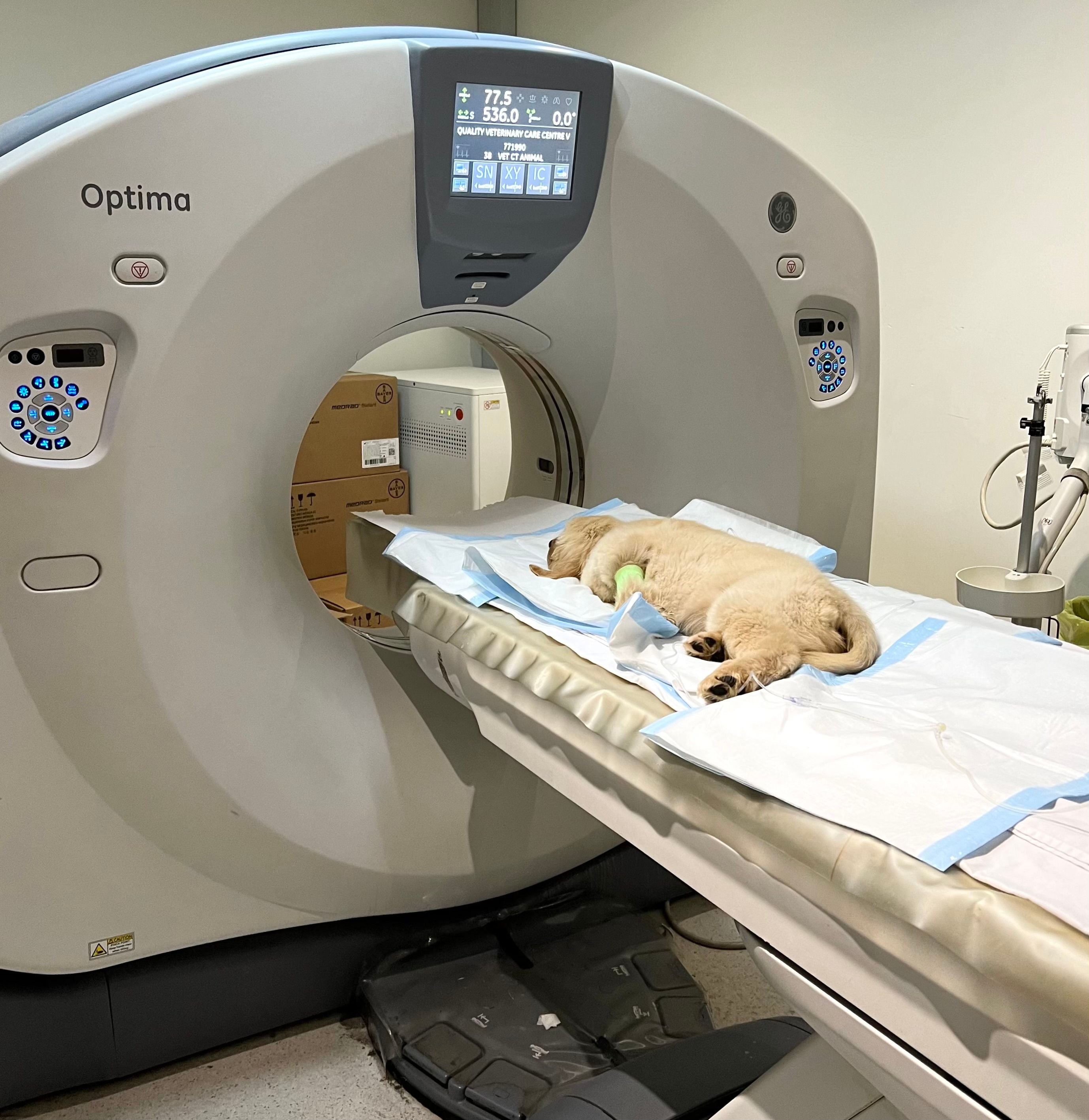 Advanced Diagnostics Advanced Diagnostics