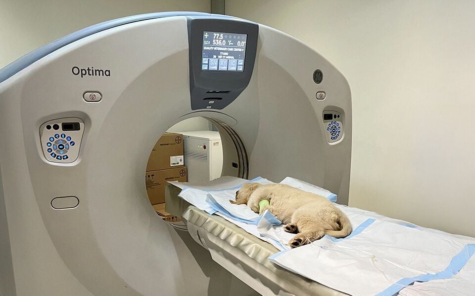 BRINGING SPECIALIST IMAGING TO YEPPOON