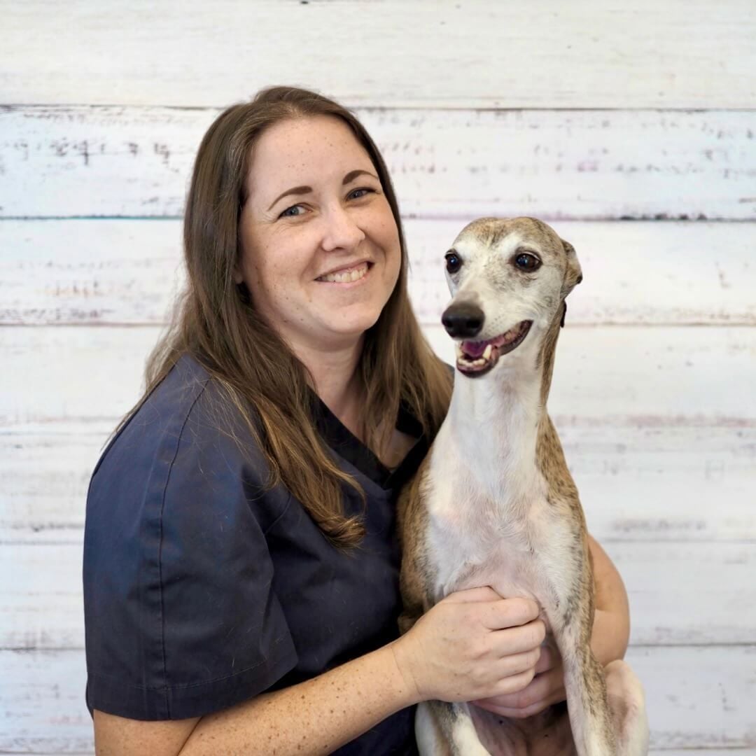 Dr April Gaskell | Veterinarian