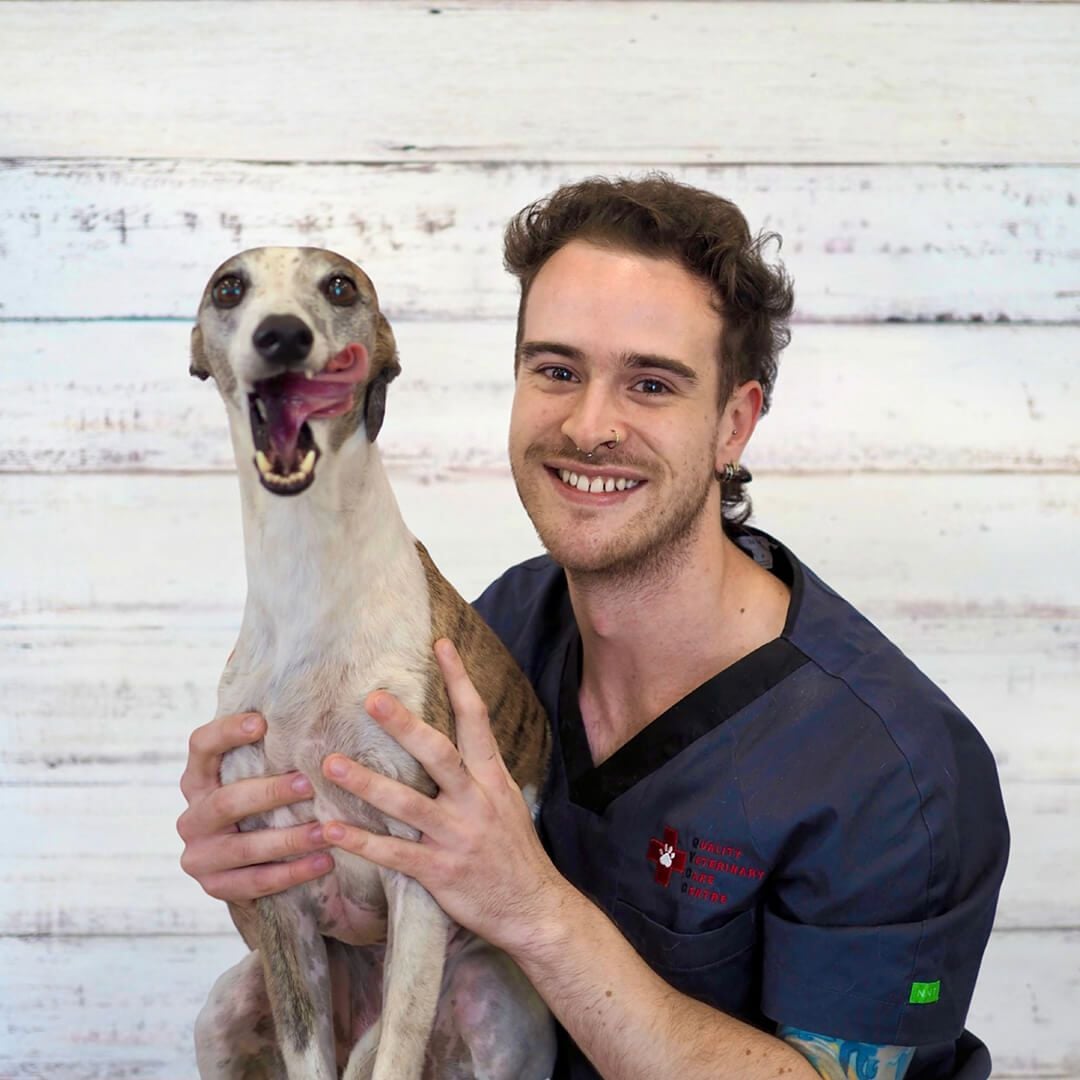 Dr Joshua Toro-Maxwell | Veterinarian