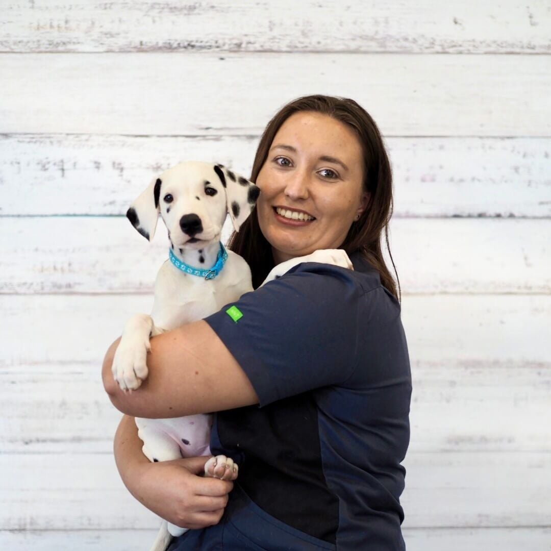 Dr Zarah Vermeulen BVSc