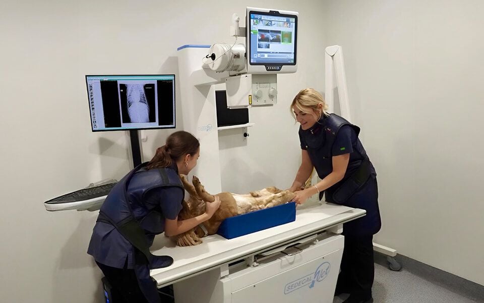 Advanced Diagnostics