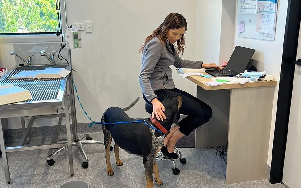 The Benefit: Checked by Two People