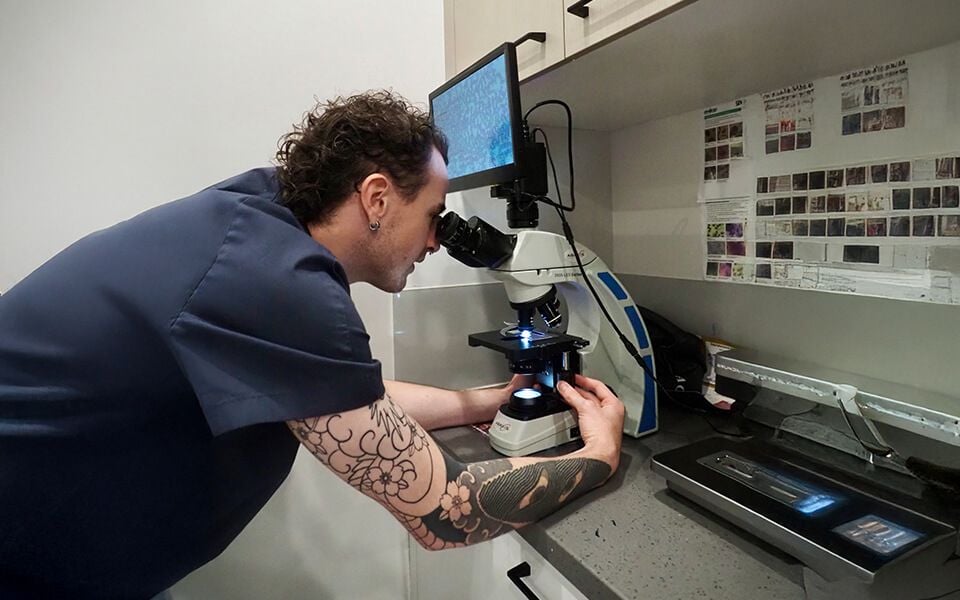 Advanced Diagnostics for Rapid Decisions