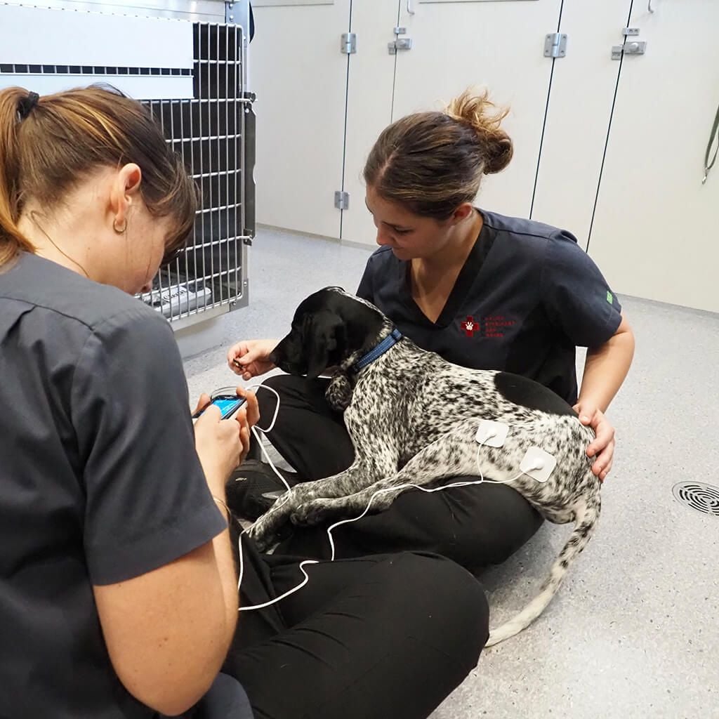 Emergency/Day Patient Admission Consent Form