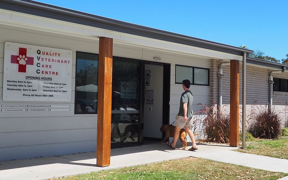 Our Passion for Gold-Standard Veterinary Care