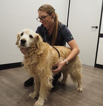 General Health & Wellness General Health & Wellness