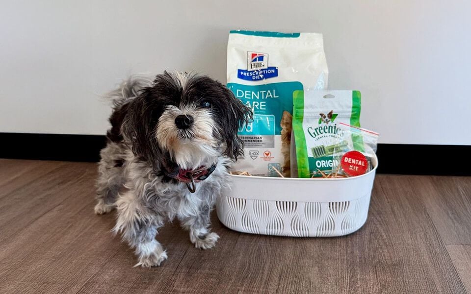 THE IMPORTANCE OF GENERAL HEALTH PRODUCTS