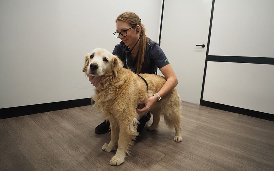 The Comprehensive 10% Discount Covers