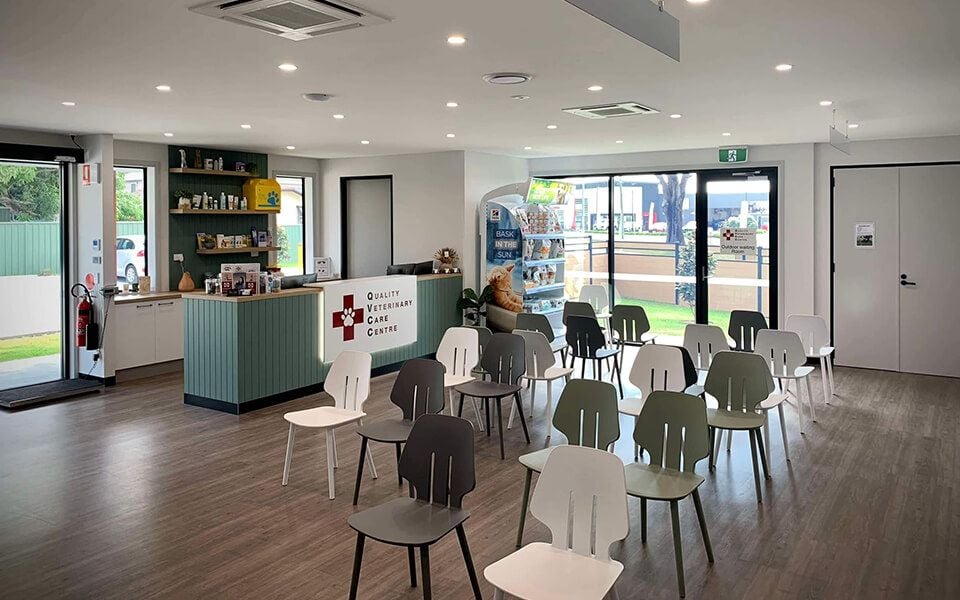 A Modern, Purpose-Built Vet Hospital for Gold-Standard Pet Care