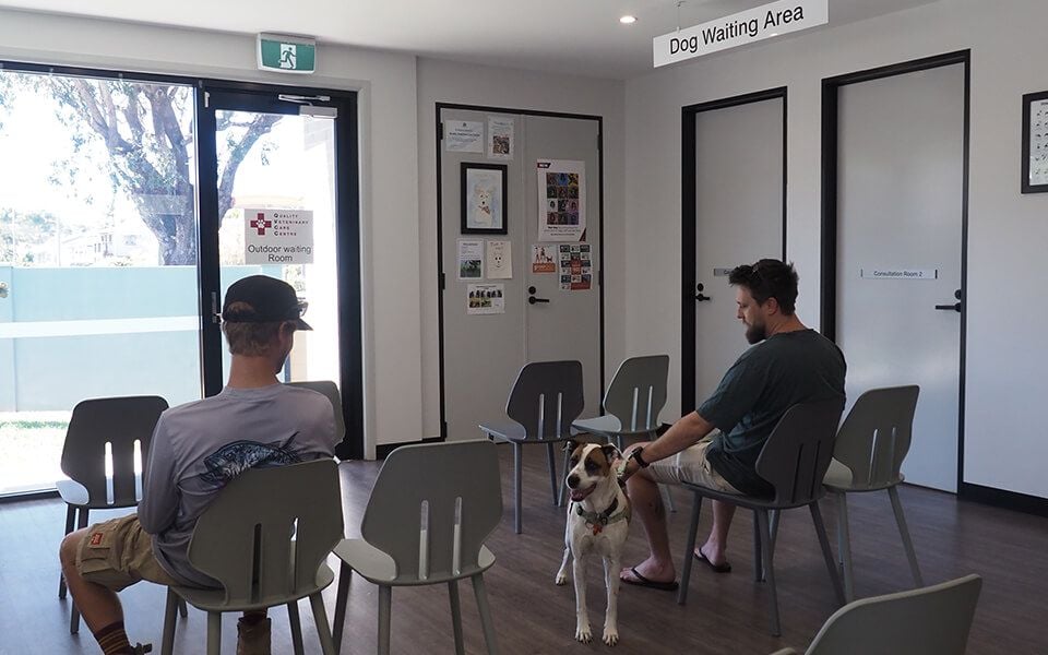 Dedicated, Stress-Reducing Consulting and Waiting Spaces