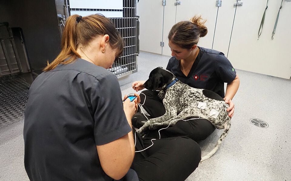 Emergency & Intensive Care