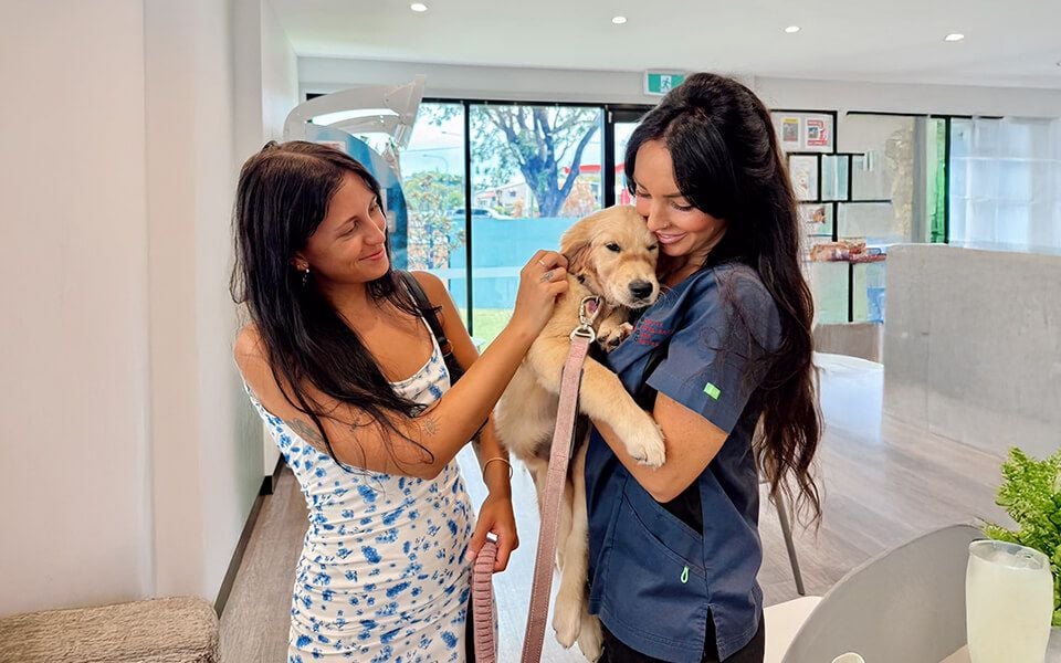 Veterinary Nurse Services