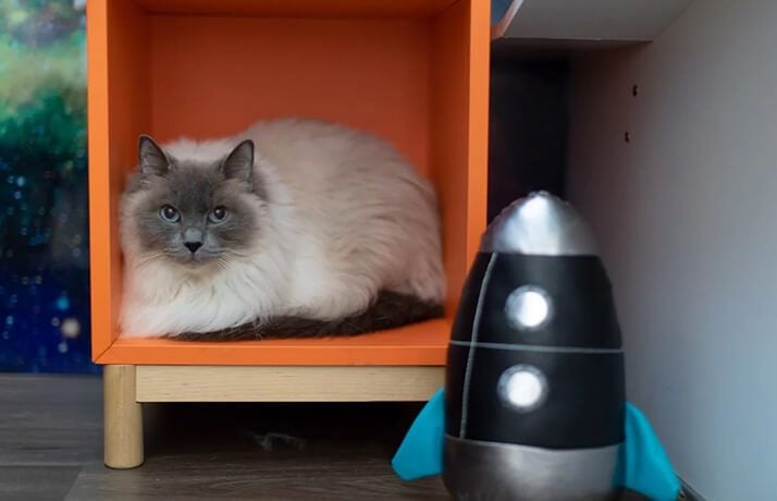 Tailored Care for Every Guest