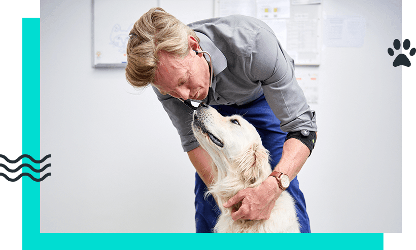 ABOUT SEAFORTH VETS ABOUT SEAFORTH VETS