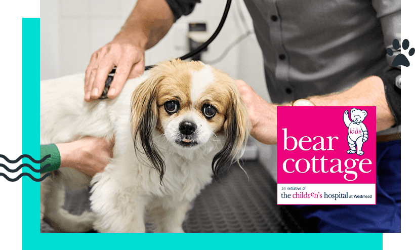 At the Heart of Our Community