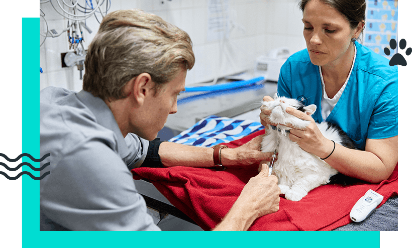 Advanced Diagnostics