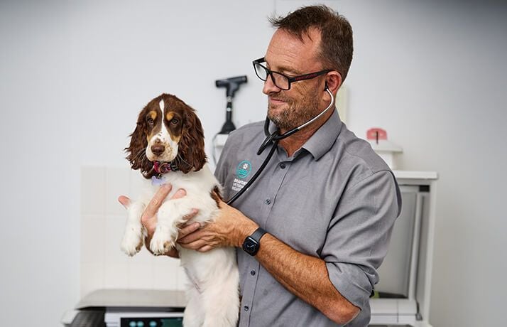 The "Socialisation Window" & Preventive Care