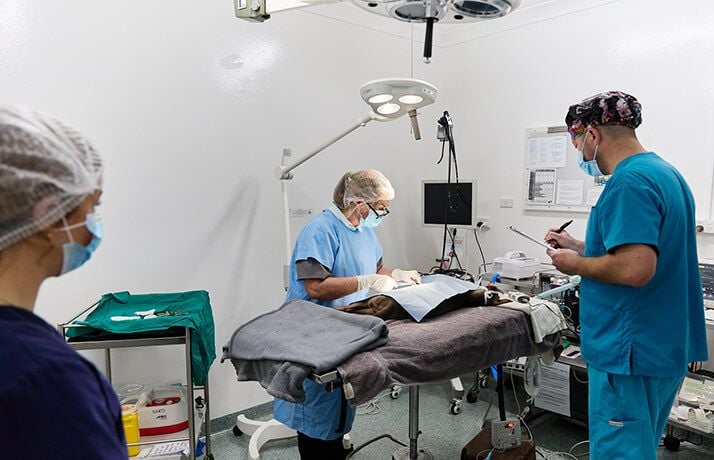 Dedicated Sterile Surgical Theatre