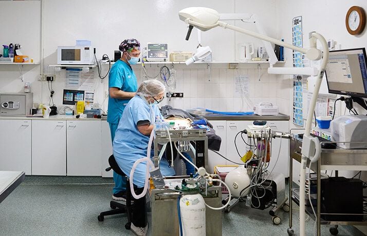 Scale, Polish, and Prevention