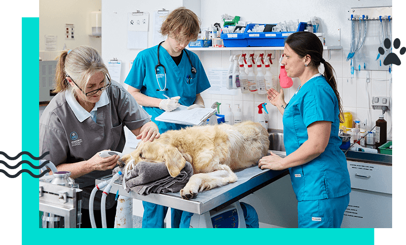 Emergency & Urgent Care