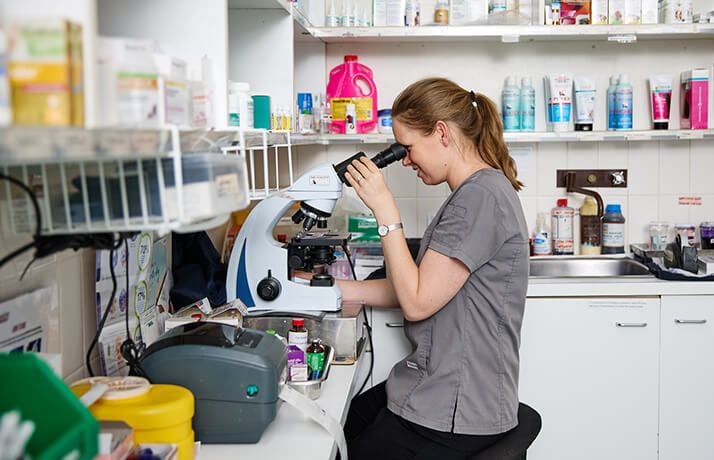 In-House Pathology Laboratory