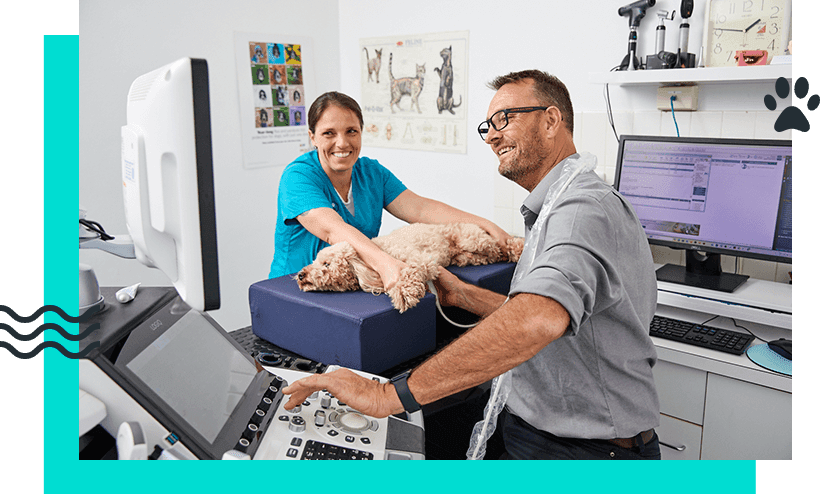 In-House Veterinary Internal Medicine Specialist In-House Veterinary Internal Medicine Specialist