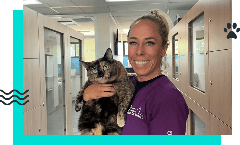 The "Vet-on-Site" Advantage