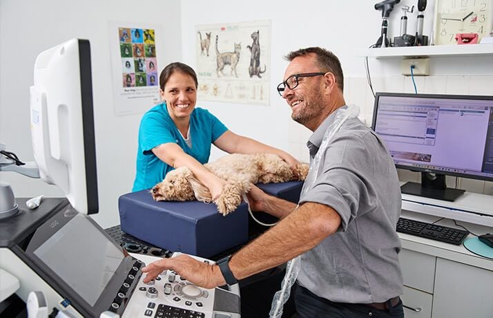 Specialist Procedure Room