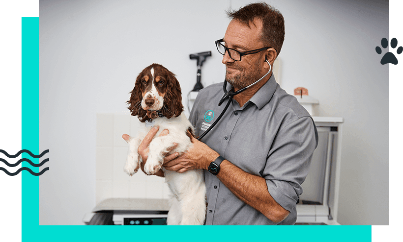 FREE PUPPY & KITTEN HEALTH CHECKS FREE PUPPY & KITTEN HEALTH CHECKS