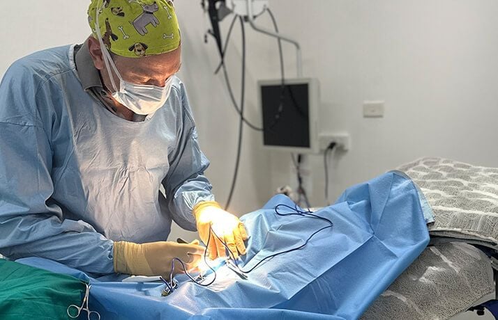 SPECIALIST ORTHOPAEDICS (TPLO) SPECIALIST ORTHOPAEDICS (TPLO)