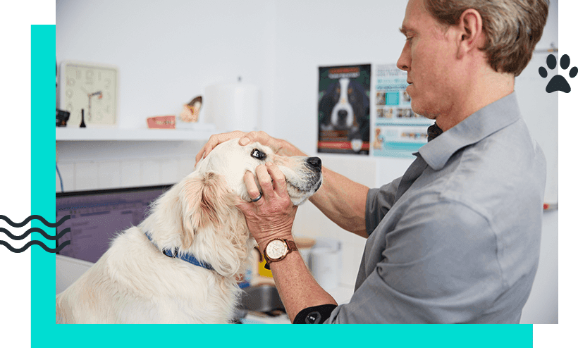 SIGNS YOUR PET NEEDS URGENT CARE