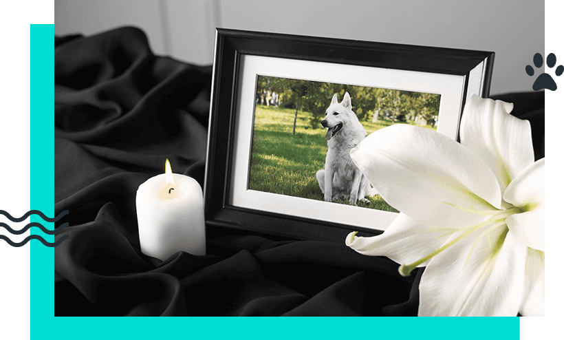 After-Care and Memorialisation After-Care and Memorialisation