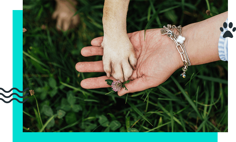 End of Life Care End of Life Care