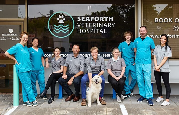 THE "SEAFORTH" PHILOSOPHY THE "SEAFORTH" PHILOSOPHY