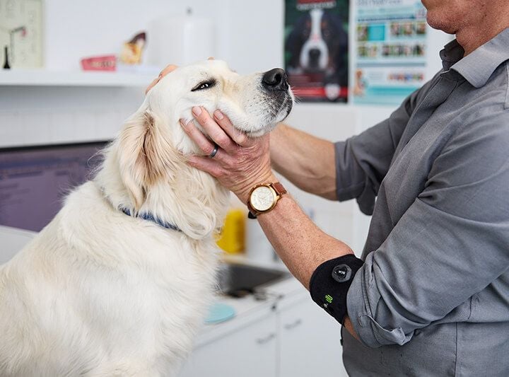 General practice care General practice care