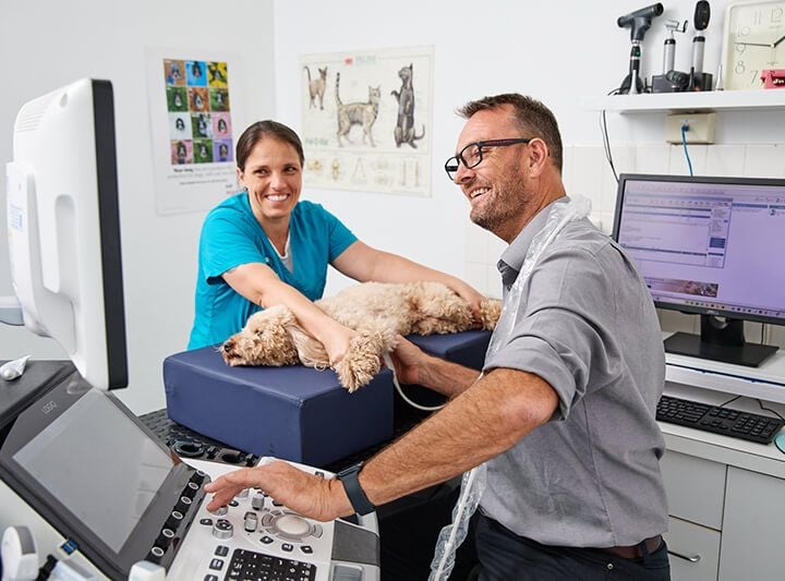 In-house internal medicine specialist In-house internal medicine specialist