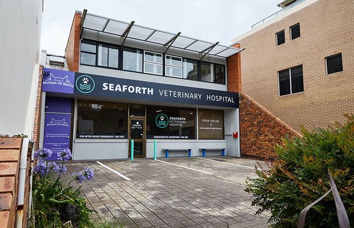 SPECIALIST EXPERTISE SPECIALIST EXPERTISE