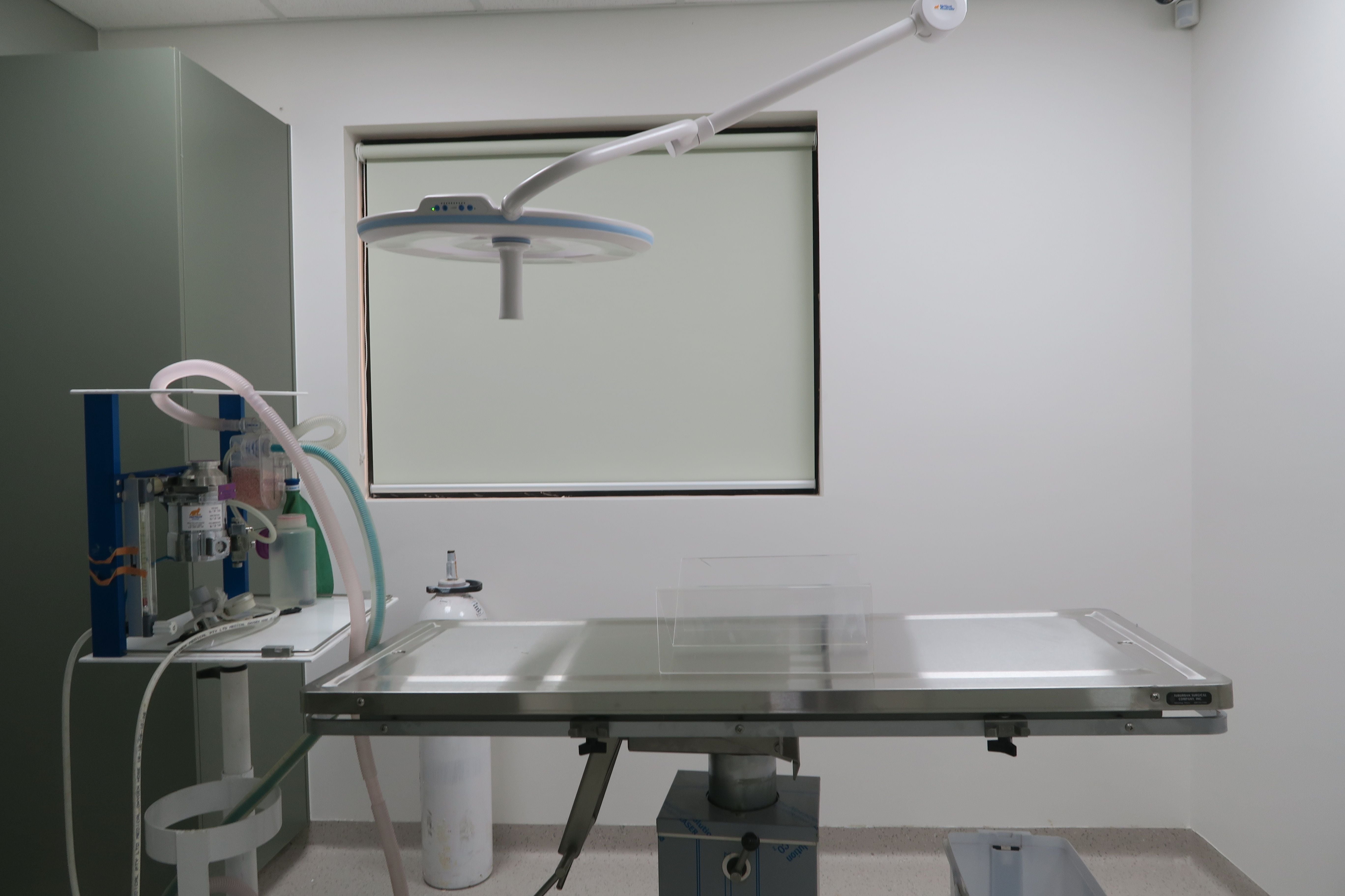 General Veterinary Surgery